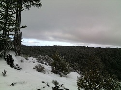 Vista desde la cima del Cerro Altos de Nahuelbuta.jpg