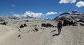 28 Greater Patagonian Trail, Volcan Descabezado.jpg