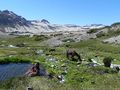27 Greater Patagonian Trail, Volcan Descabezado, Hot springs at Base Camp Descabezado Grande.jpg