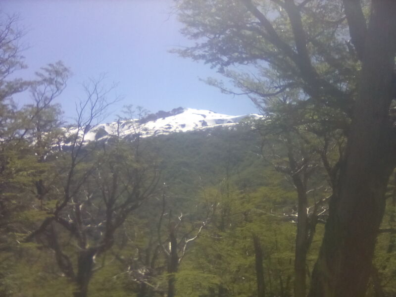 Archivo:IMG 20231207 140606.jpg