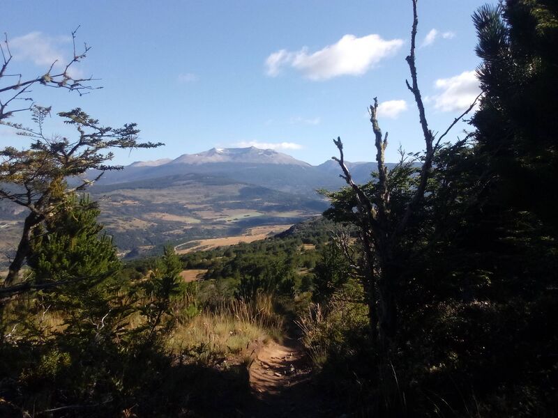 Archivo:Pumcin.jpg