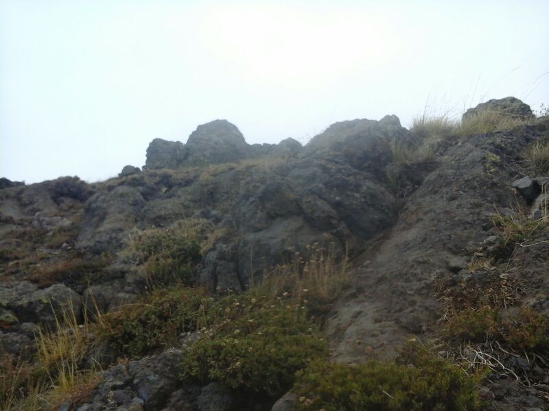 Archivo:Falsa cima Puma.jpg