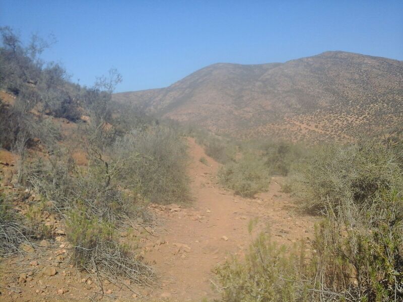 Archivo:Inicio Brillo.jpg