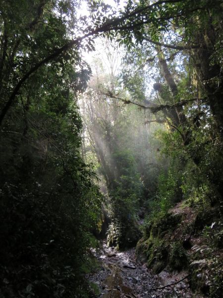 Archivo:Lago Pinto Concha (7).JPG