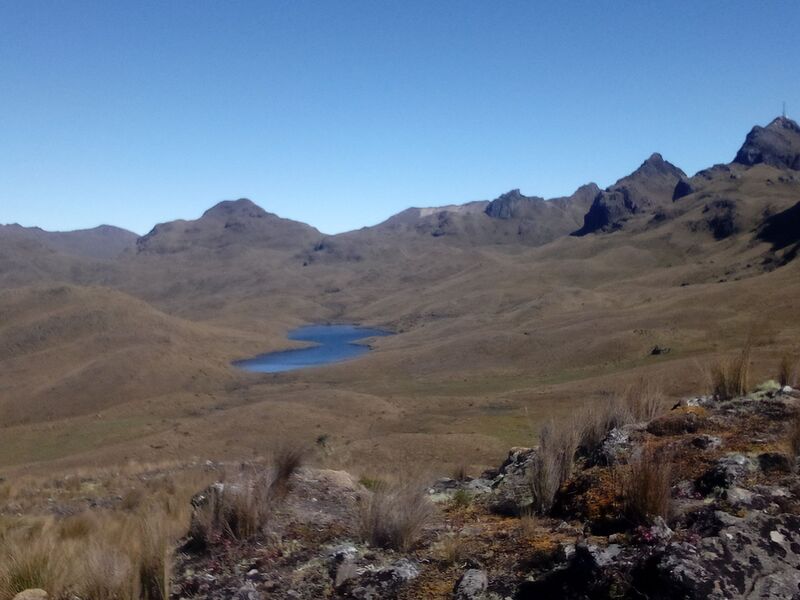 Archivo:Hrrlg8.jpg