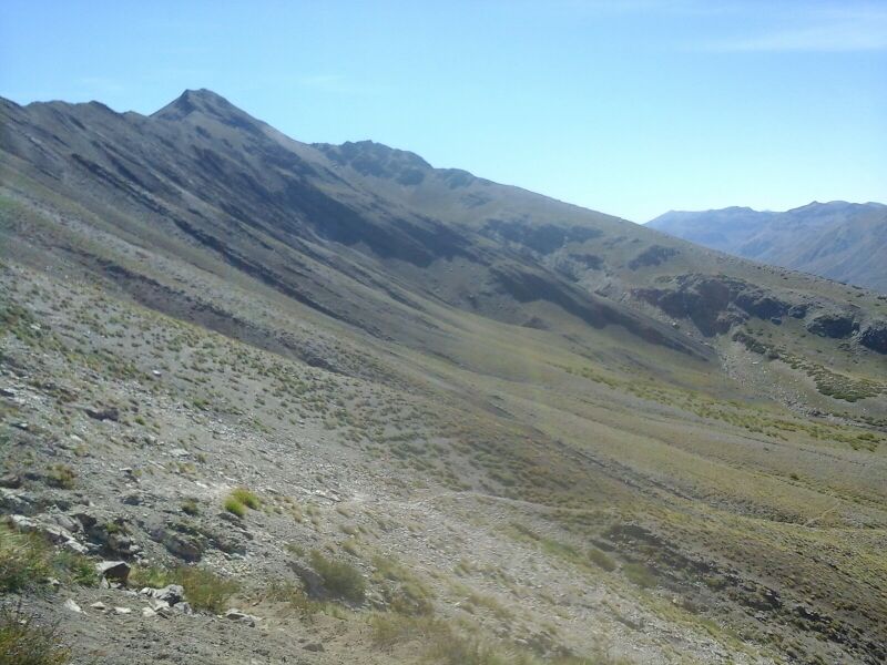 Archivo:N desc Palo.jpg