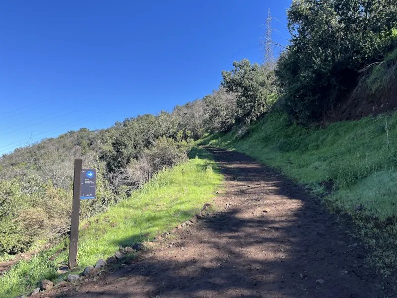 Archivo:MORRO DE LAS PAPAS 5.webp