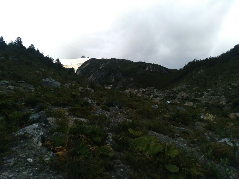 Archivo:Mapuche glaciar.jpg