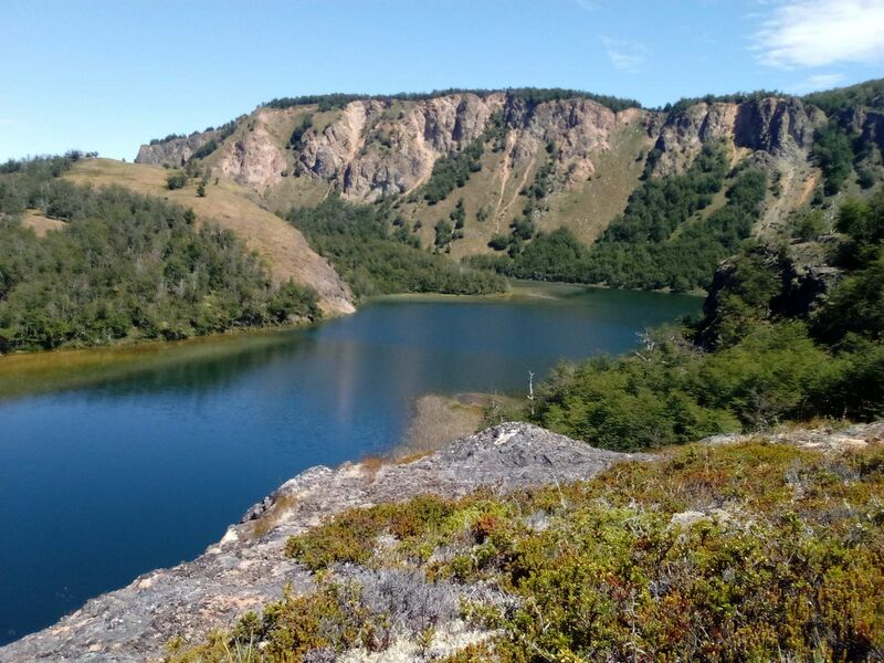 Archivo:Bzcolpri.jpg