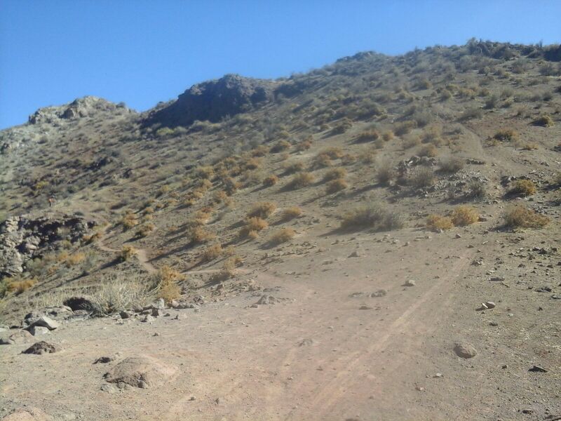 Archivo:Bif Águila.jpg