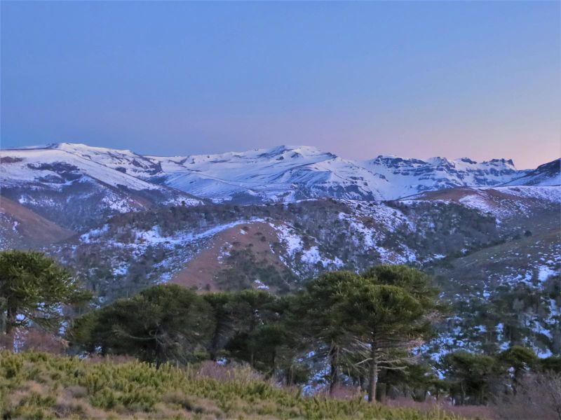 Archivo:Cerro Cuchare (7).jpg