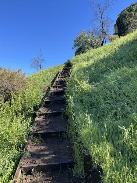 Archivo:MORRO DE LAS PAPAS 4.webp