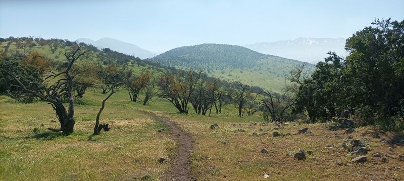 Archivo:Cerro Reinoso Chicureo (5).jpg