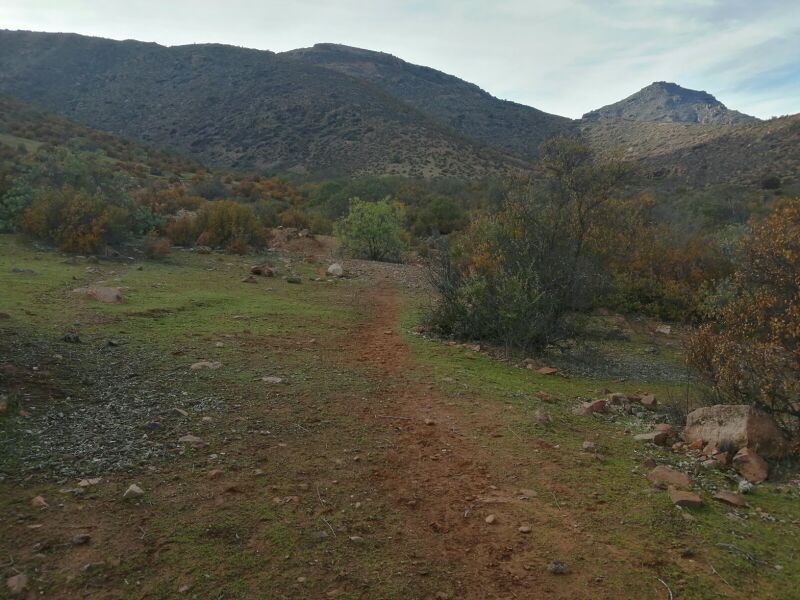 Archivo:Inicio Choa.jpg