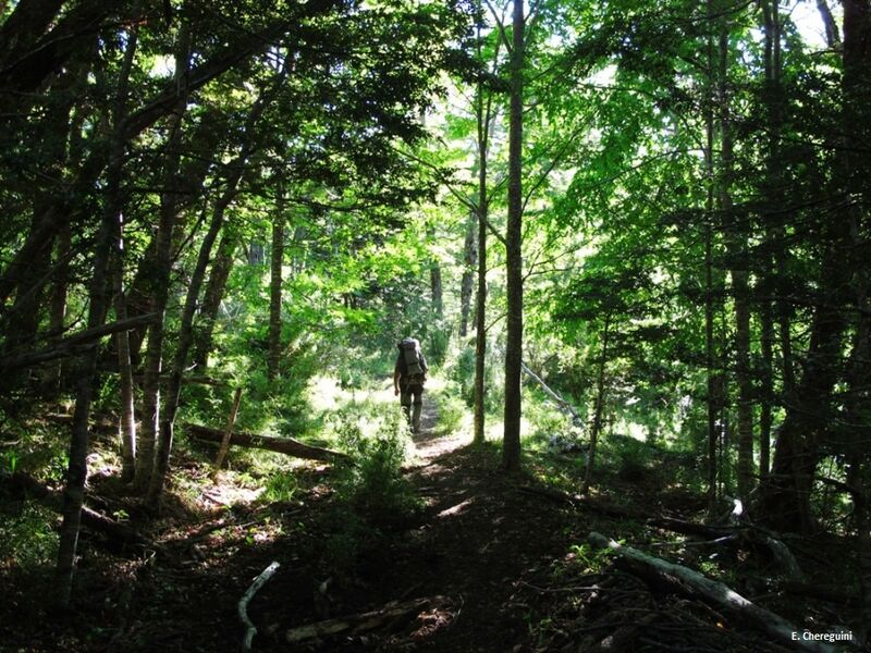 Archivo:Aila-Termas-imagen camino-Wikiexplora.jpg