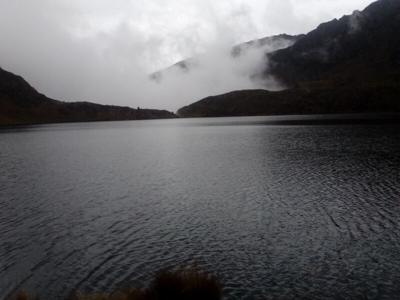 Archivo:Pypy (1).jpg