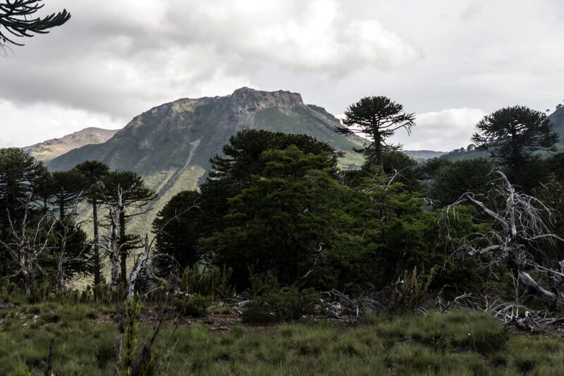 Archivo:Laguna liay (6).jpg