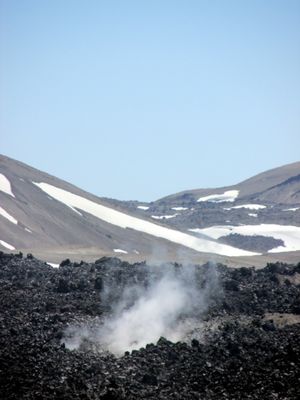 Volcan Puyehue (39).JPG