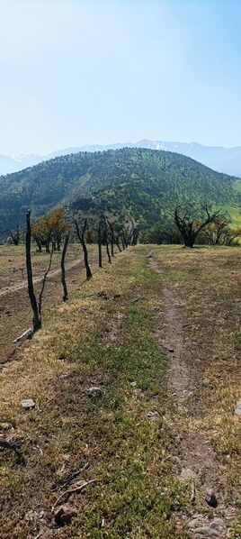 Archivo:Cerro Reinoso Chicureo.jpg