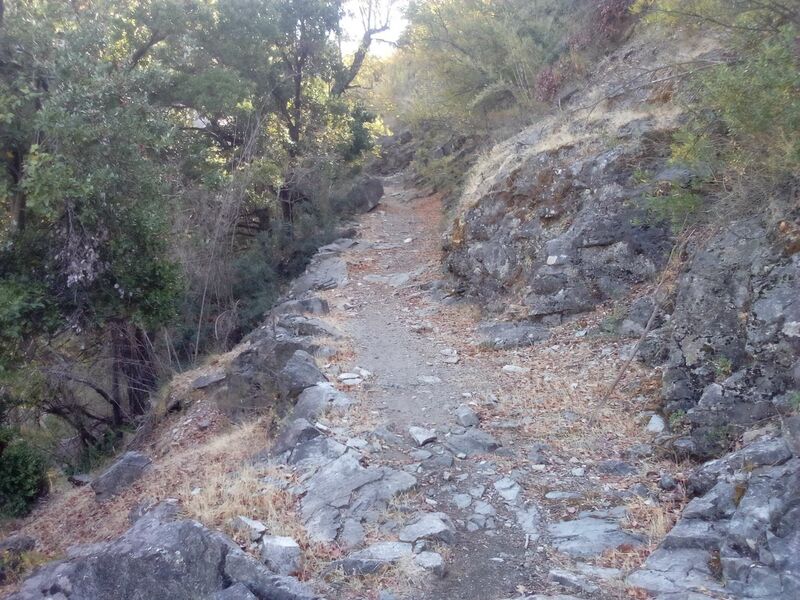 Archivo:Melcorn.jpg