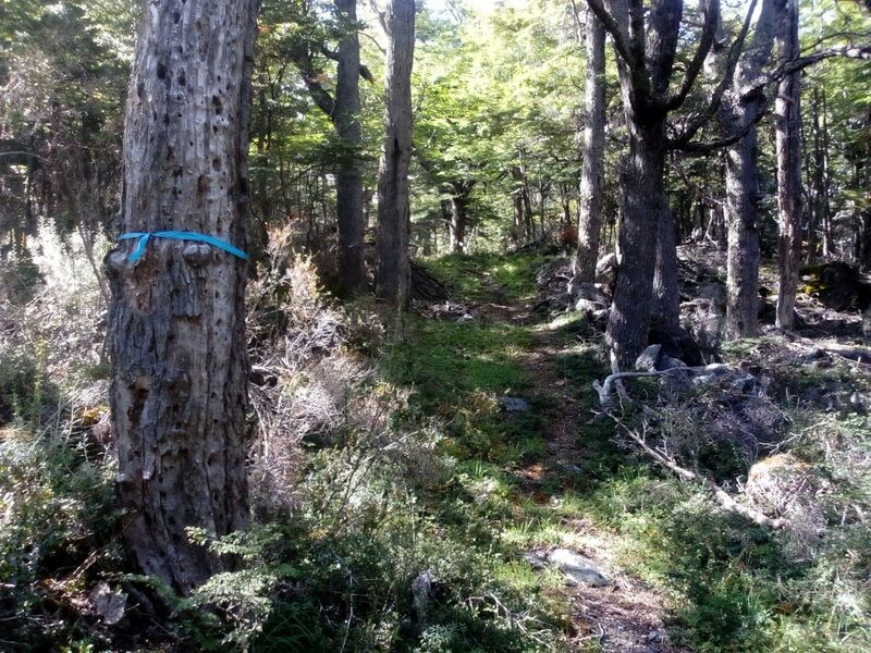 Archivo:Pelseñ 1.jpg