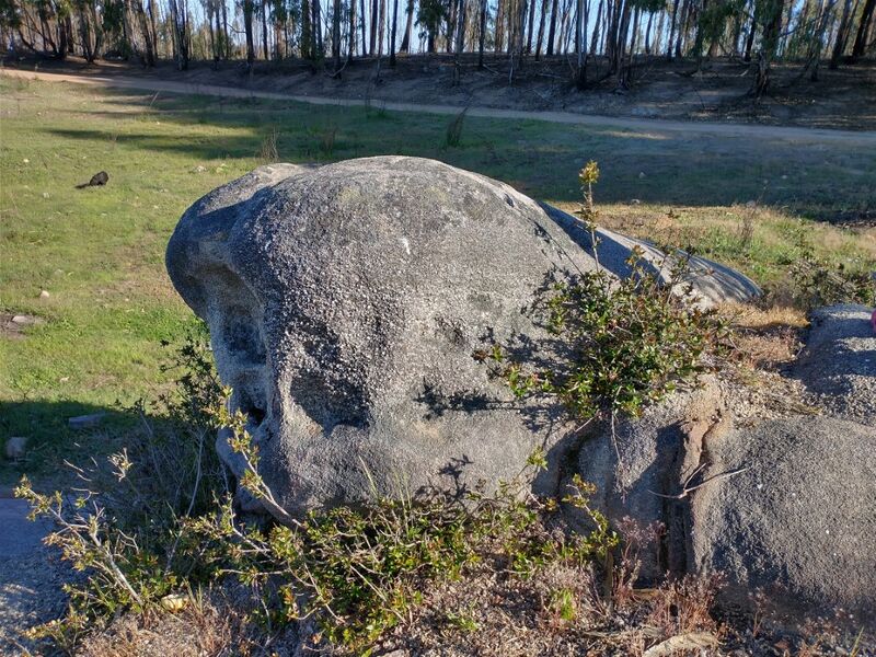 Archivo:Cerro la costilla (13).jpg