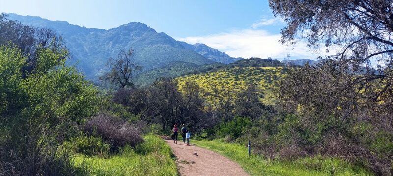 Archivo:Sendero Guayacan Parque Mahuida (1).jpg