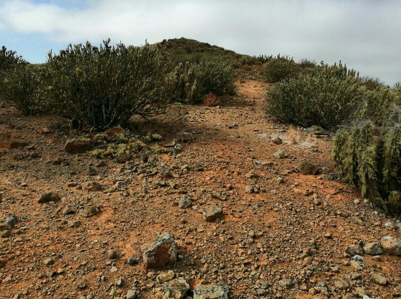 Archivo:Lleg cima Ver.jpg