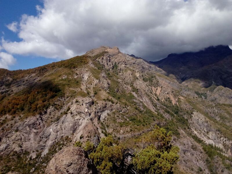 Archivo:TorS.jpg