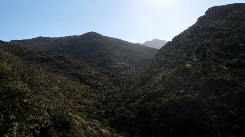 Archivo:Cerro Caqui (21).JPG
