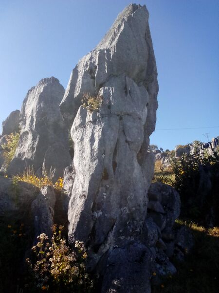 Archivo:Bqfigdw (1).jpg