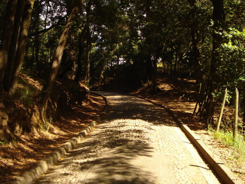 Archivo:Cerro caracol (9).jpg