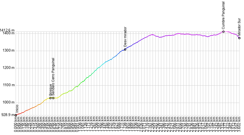 Archivo:Cerro Panguinal.png