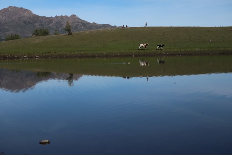 Archivo:Laguna del Venado (9).JPG