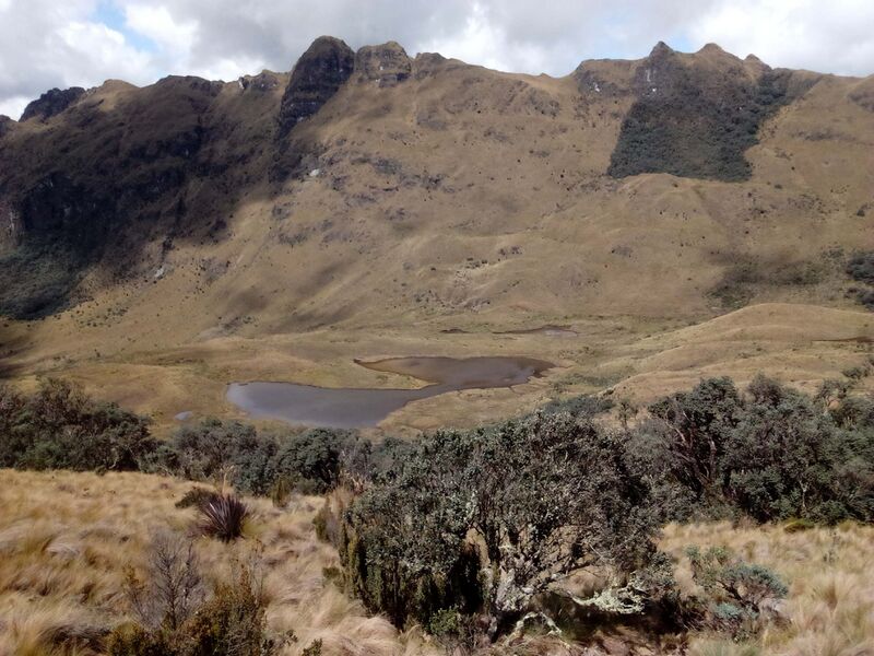 Archivo:LagunillaantesdeLagunaBarranco copy 2442x1831.jpg
