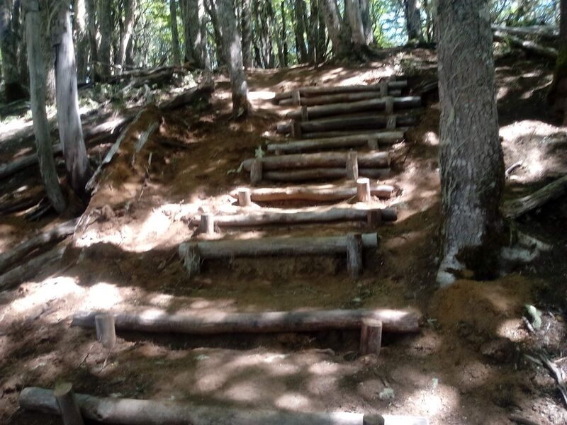 Archivo:Negesc.jpg