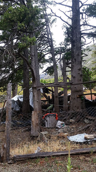 Archivo:Puesto Valle El Toro.jpg