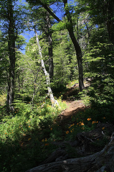 Archivo:Sendero Los Ratones.jpg
