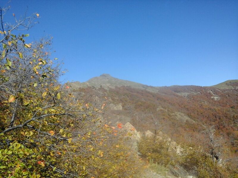 Archivo:Picudo senda Pantano.jpg