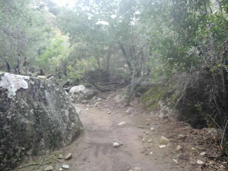 Archivo:Fin Pejerrey.jpg