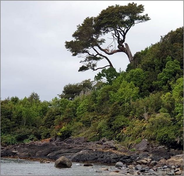 Archivo:Melinka (2).jpg