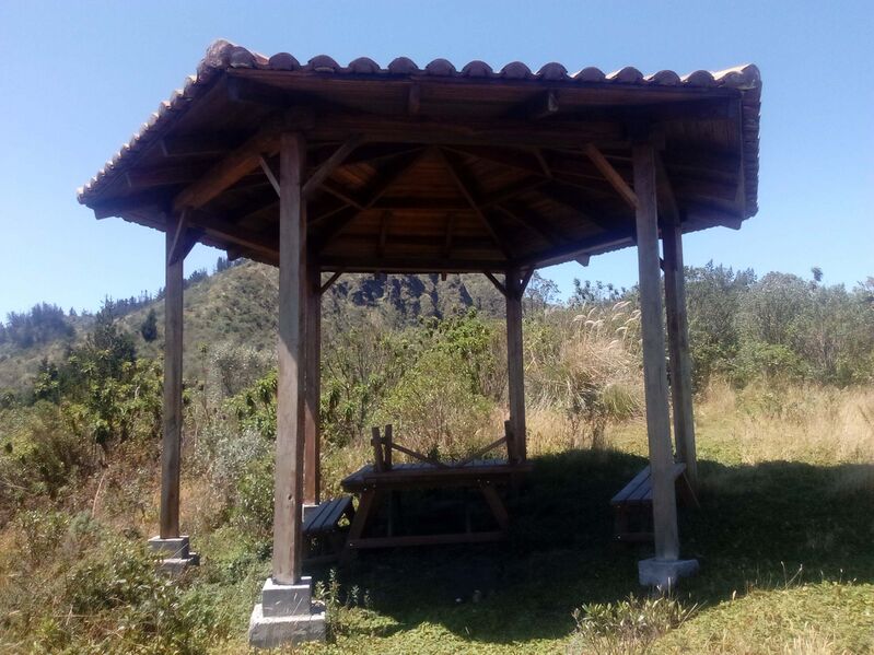 Archivo:Scmir.jpg