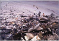 Accidente aereo lan 404 6 febrero 1965.png