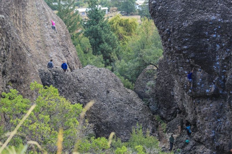 Archivo:Peluca (2)-min.jpg