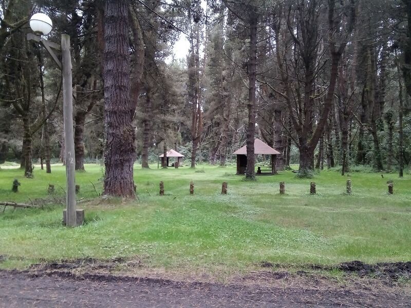 Archivo:Camñ boli.jpg