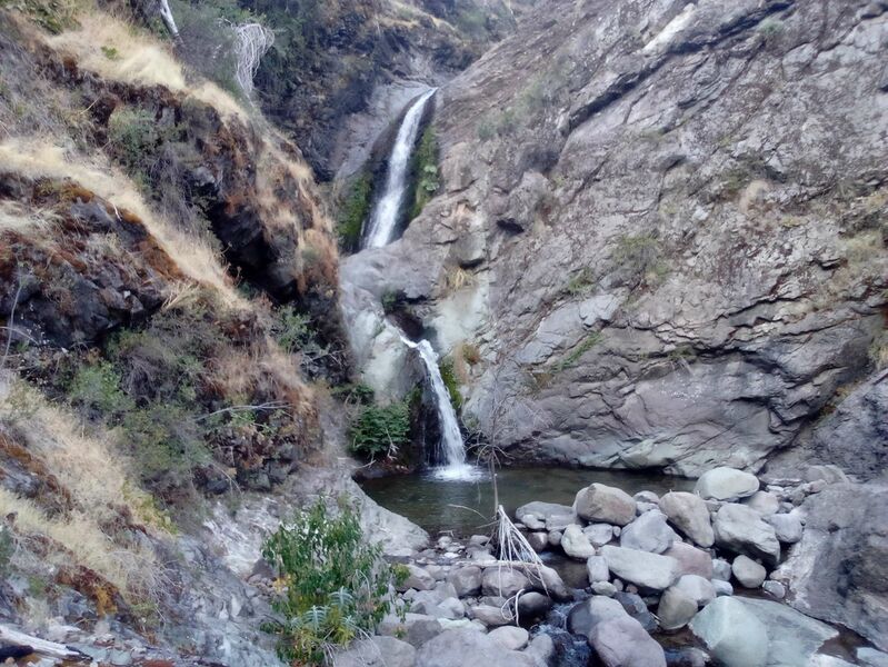 Archivo:Latñuc.jpg