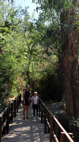 Archivo:Sendero El Peumo (2).JPG
