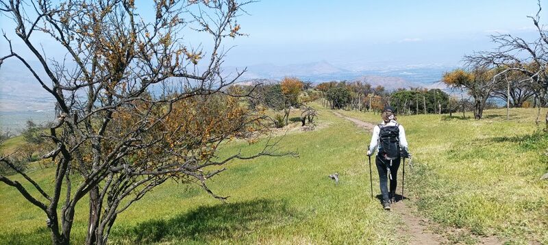 Archivo:Cerro Reinoso Chicureo (13).jpg