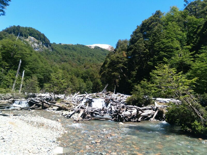 Archivo:Aflu mira.jpg