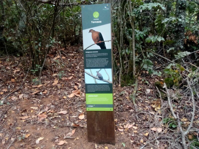 Archivo:Copan.jpg